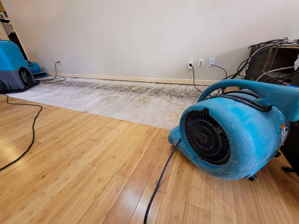 Professional Burst Pipe Water Damage technician working in Conshohocken, PA